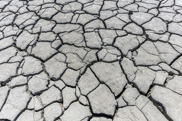 Rainless in countryside.