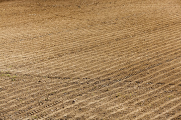 plowed agricultural land