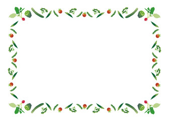 野菜フレーム（四角・ラディッシュ他）