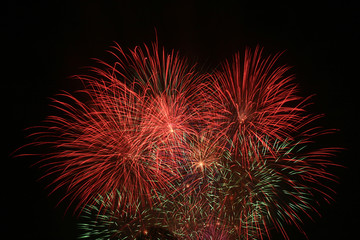 Celebration fireworks. Fireworks light up the sky.