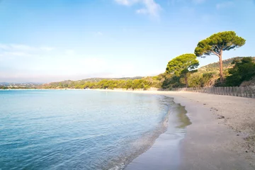Printed kitchen splashbacks Palombaggia beach, Corsica Corsica - Traumstrand mit türkisfarbenen Wasser 