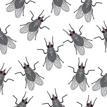 Fly insect seamless texture. Fly wallpaper, background. Vector illustration