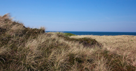Beautiful landscape on Sylt island at North Sea!!