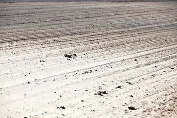 plowed agricultural land