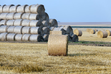 haystacks in a field of straw