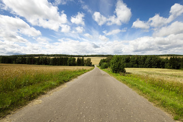 Spring road, countryside