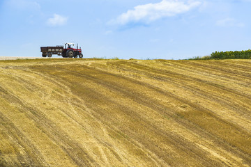 Obraz premium Agriculturel land