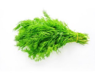 herbs on a white background