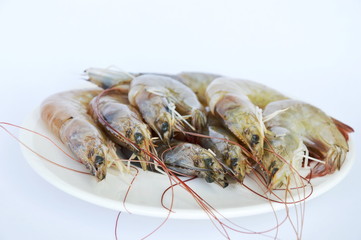 raw prawn on dish in white background