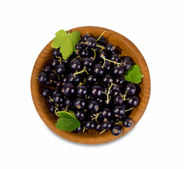 black currant