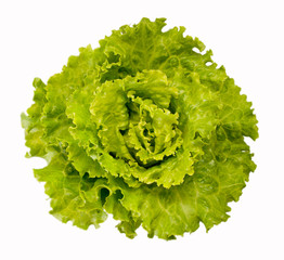  lettuce