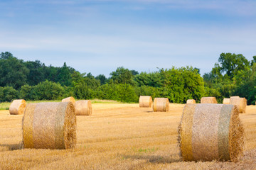 Italian countryside panorama. Round bales on wheat field