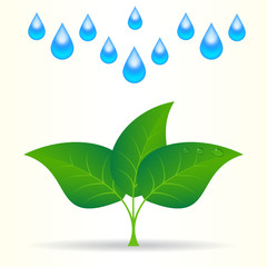 Drops of water with sprout. Vector Illustration. 