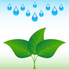 Drops of water with sprout. Vector Illustration. 