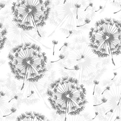 Seamless dandelion pattern, vector seamless background