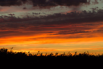 Sunset over water