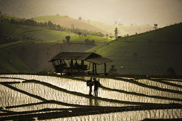 silhotette photographer and cottage on step rice's field at mountains in Chiangmai province,Thailand