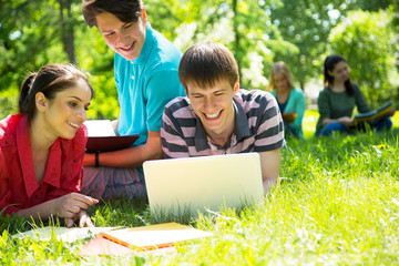 Fototapeta premium Grupa studentów studiujących razem
