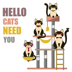 Cats House,Condo  Flat Style Vector/Illustration