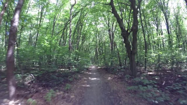 Riding along the forest road on a bicycle, raw from Gopro