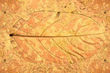 Background cement leaves motifs 