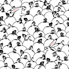 Many rabbits