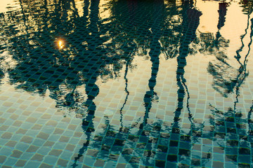 Fototapeta na wymiar Reflection of palm trees and sunlight in the water of the pool.