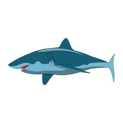 blue shark