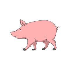 pinky pig