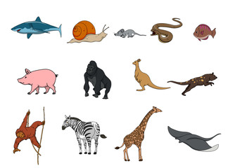 set of animals