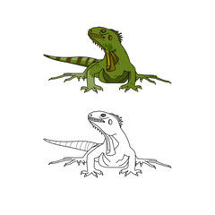 Naklejka premium iguana clip art
