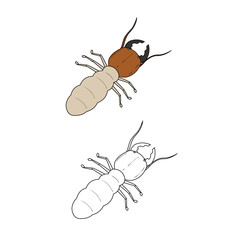 termite illustration