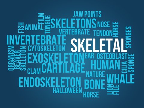 skeletal