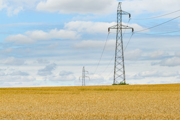 Żniwa © Adam Machocki