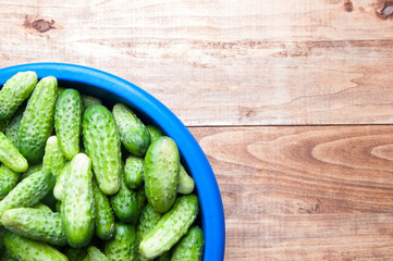 The image of fresh cucumber on a wooden table