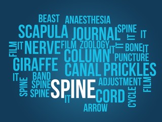 spine