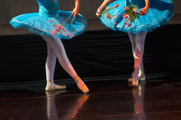 Dancers during ballet performances.Legs only. © ververidis