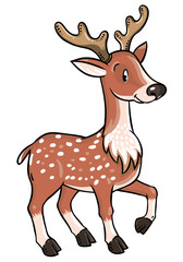 Lttle funny young deer or fawn