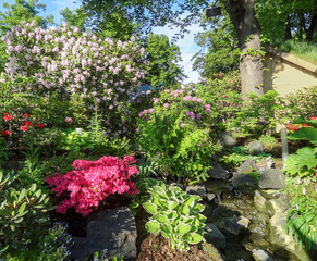 sunny flourish garden scenery at summer time