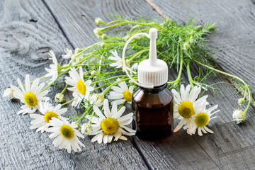Chamomile essential oil and chamomile flowers