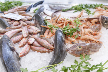 fish, dinner, color, food, eating