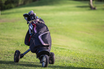 Black golf clubs drivers on green field