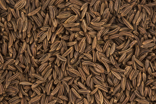 Cumin seeds background or texture
