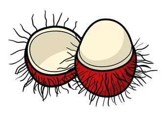 Graphic illustration of rambutan