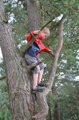 Auf Bäume klettern - Kind klettert auf Baum