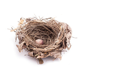 Close up old bird nest with one egg isolated on white