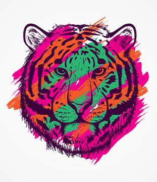 Colorful tiger sketch line