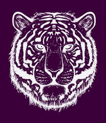 Tiger sketch line