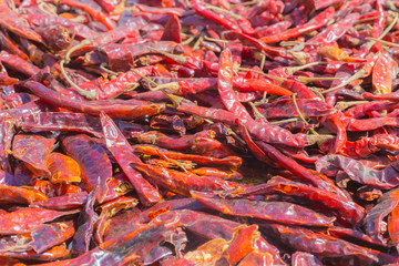 dry red chilli