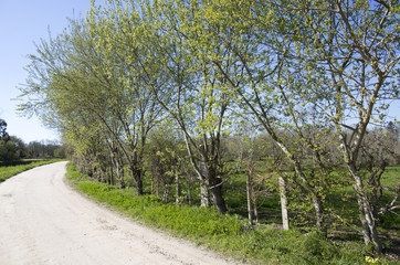 Park of Pateira de Fermentelos